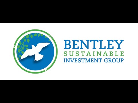 BSIG Stock Pitch SKWS