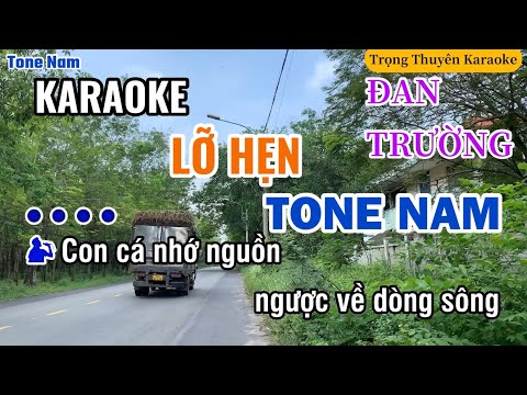 Karaoke Lỡ Hẹn Tone Nam Đan Trường