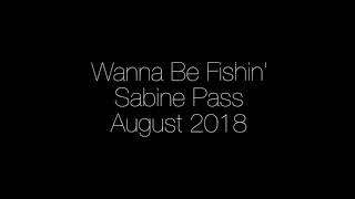 preview picture of video 'Sabine Pass Fishing'