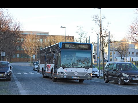 2150 STCP - Mercedes-Benz O530 Salvador Caetano CityGold MB 2K - Linha / Line 803 (parte / part 1)