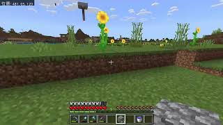 のんびりマイクラ