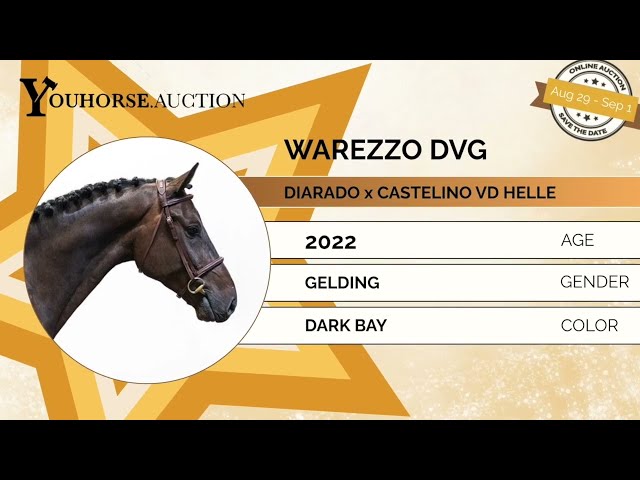 Warezzo homevideo