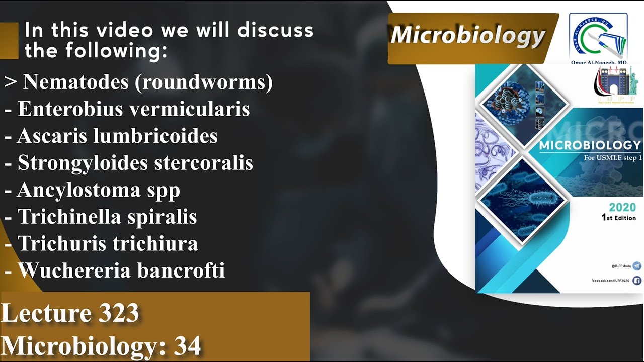 Nematodes | Enterobius | Ascaris | Trichinella | Necator | Strongyloides | Wuchereria | Loa loa