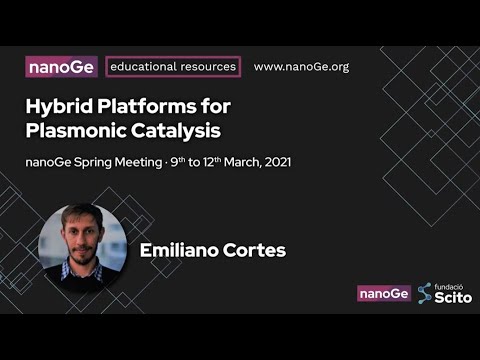 Hybrid Platforms for Plasmonic Catalysis