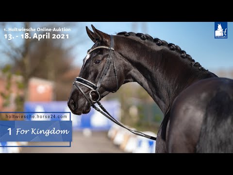 Online-Auktion 13. - 18. April 2021 Lot 1 For Kingdom Wallach v. For Romance - De Niro