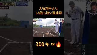 時速300キロの豪速球、大谷翔平より1.8倍も速い#棒球 #野球 #baseball #japanbaseball #投手 #日本職棒 #打擊