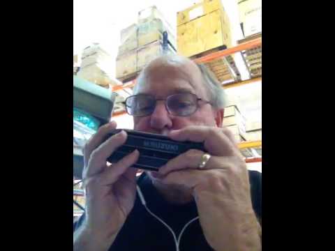 Twin harmonica – – chord and chromatic