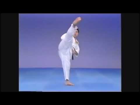 Kyokushin 101: Mawashi Geri