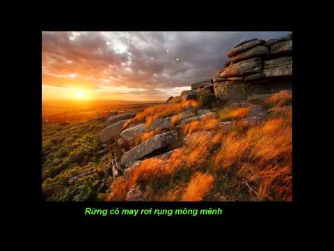 Vỗ cánh chim bay - Ấu Tím