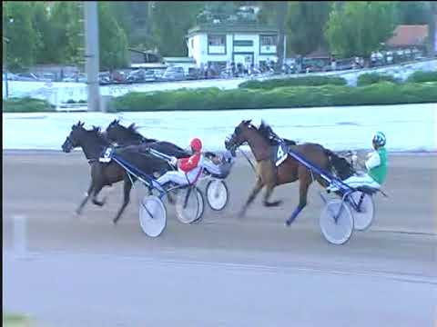 Trotto 10/06/2018 - 10ª corsa