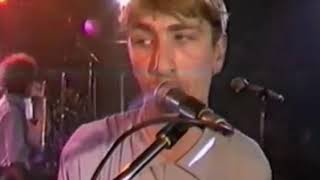 Nits - The Young Reporter (Music Video)