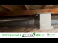 Musty Crawlspace Repair