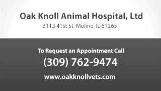 preview picture of video 'Oak Knoll Animal Hospital - Short | Moline, IL'