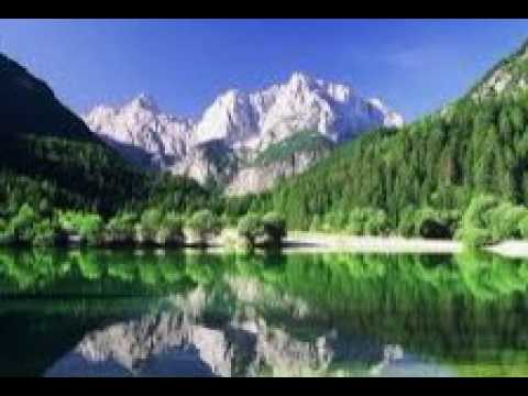 Vinka  Cverleta    accordeon