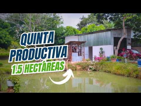 Hermosa Quinta en Venta en Santa Rosa, Arenillas El Oro | 1.5 Hectáreas con Casa y Cacao