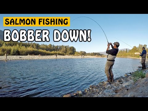 Early Morning Salmon Bobber Down Madness! | Fishing with Rod
