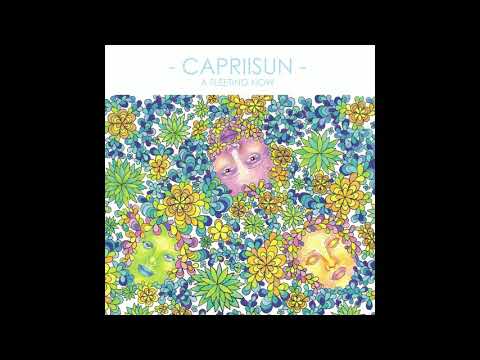 CAPRIISUN - A FLEETING NOW [Full Album]