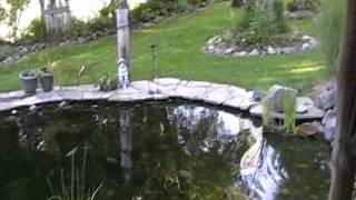 Not Randy Raccoon!  say it aint so!