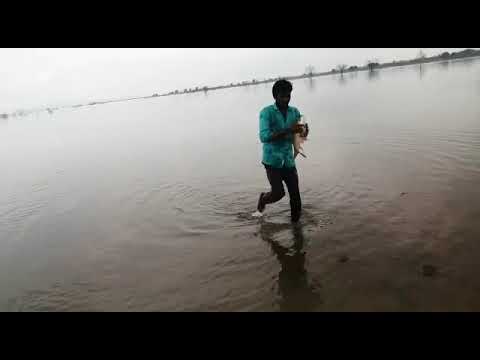 Like subscribe to my channel #abdulhakeem