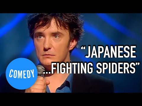 Dylan Moran On Being Compulsive and Indecisive | BEST OF Like, Totally | Universal Comedy