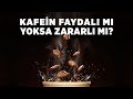 Kafein Faydalı Mı Yoksa Zararlı Mı