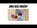 Bird Box Parody