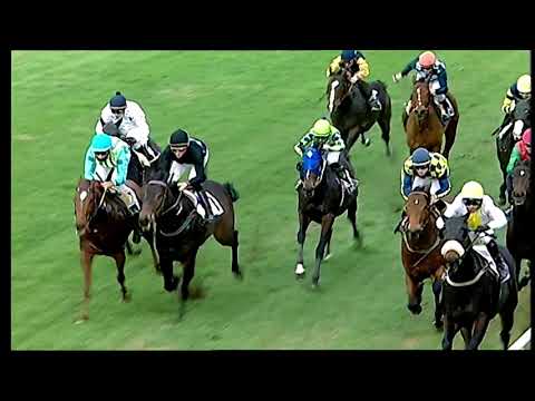 Galoppo 24/12/2020 - 5ª corsa