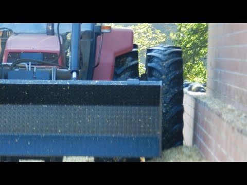 Maisernte 2020 Straight to Hell