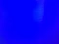 White Screen Of Death And Moaning Sound On My Apollo 13 1995 Vhs Version 1
