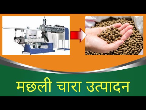 25kg 6mm Channa Premium Murrel Fish Feed