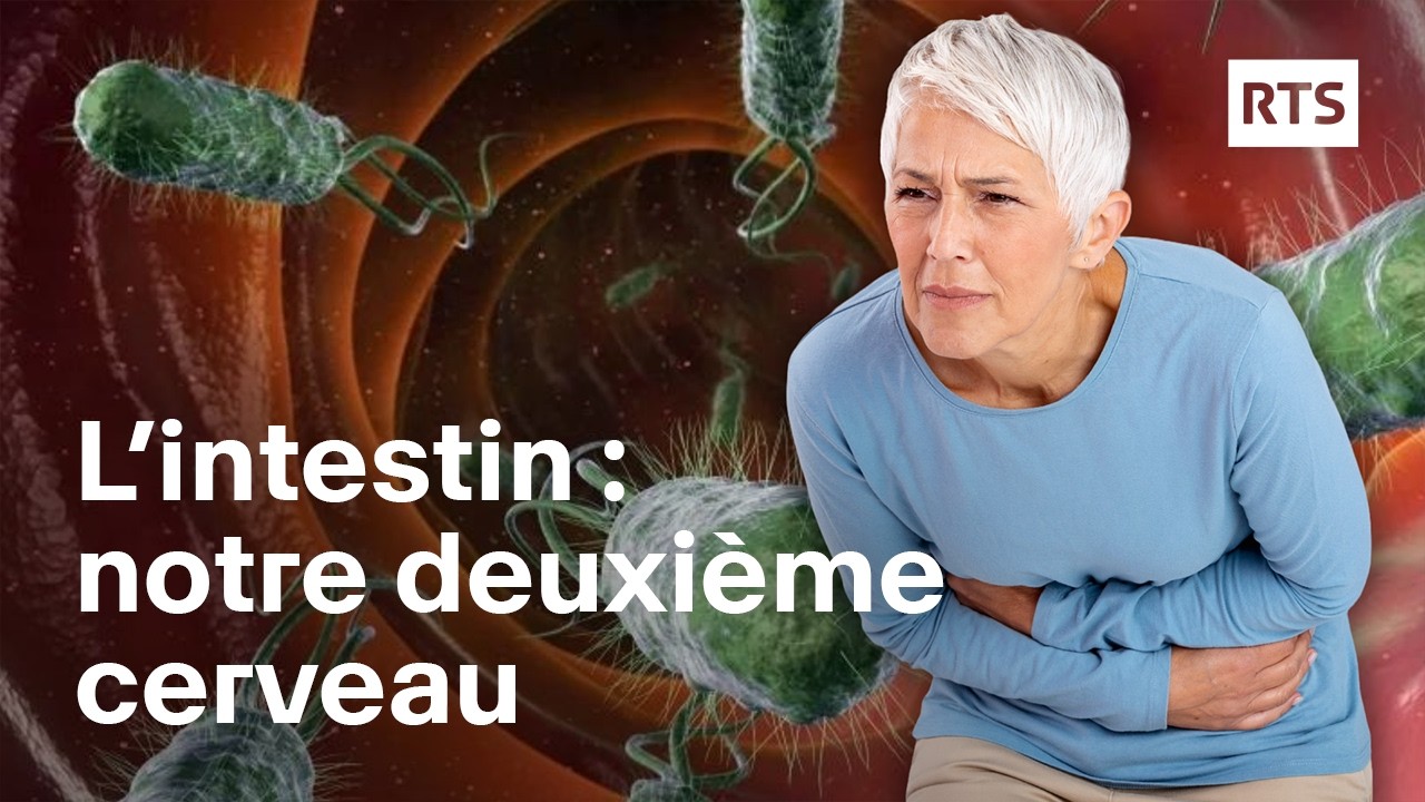 Microbiote et cerveau: la santé mentale réside-t-elle dans l’intestin ? | RTS