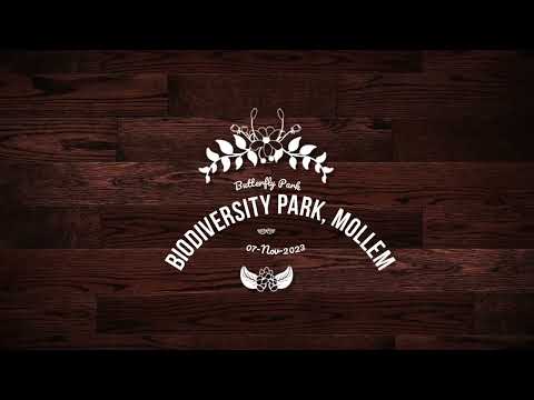 Goa Trip: Biodiversity Butterfly Park, Mollem 07 Nov 2023 Day3 Spot2