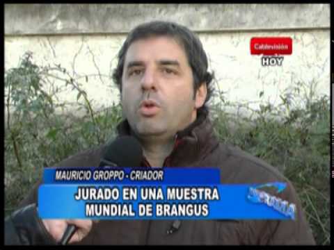 Mauricio Groppo será jurado en un Congreso Mundial de Brangus