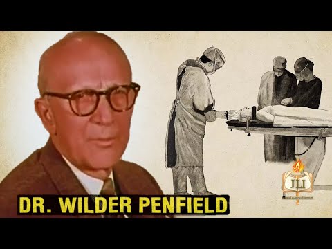 This Doctor's CRAZY Brain Experiment and Results!