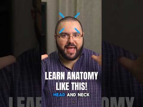 Anatomie & Behandlungswissen Videos – Interaktives Nachschlagewerk für Physio, Massage, Therapie 44 There’s NO right way to study anatomy (Do this instead)