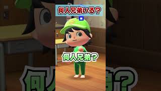 どんだけお前ら兄弟おるんやｗｗｗ [あつまれどうぶつの森]