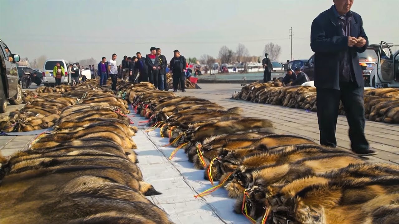 Luxury: the shocking underbelly of a limitless industry