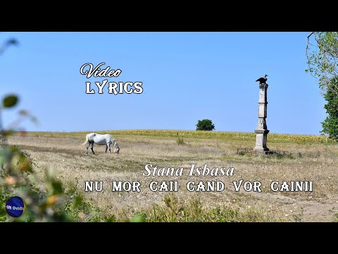 Stana Isbasa - Nu mor caii cand vor cainii 🐎 (Versuri | Lyrics)