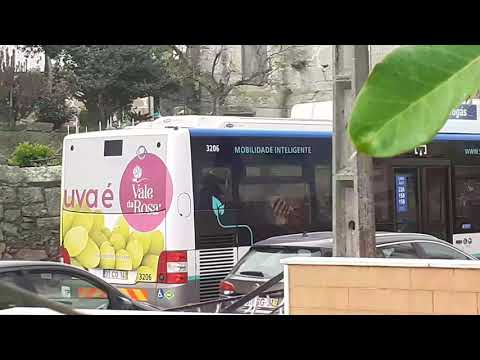 STCP Linha 805 Veículos 3206, 3207, Foi dia 11/08/2021