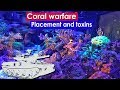 Coral Warfare - Coral Placement, toxins, husbandry to prevent damage from  coral fighting for space