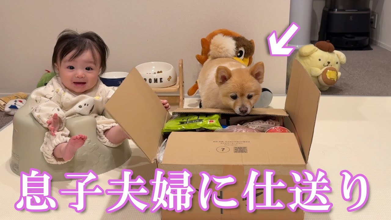 【仕送り開封】ポメくんと息子夫婦に仕送りを送りました！