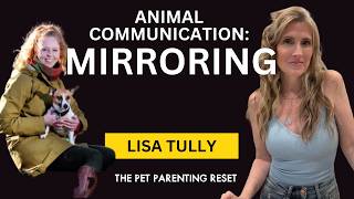 The Mirror Effect: What Your Animal Is Showing You