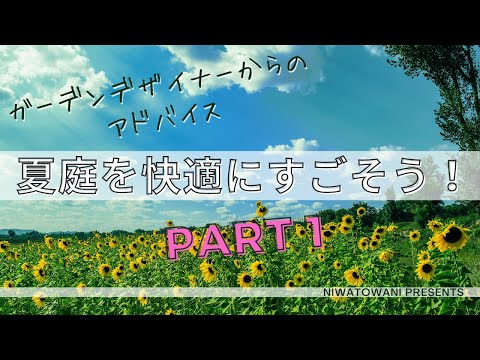 parasol-design-pergola-moderne-bois-blond-jardin