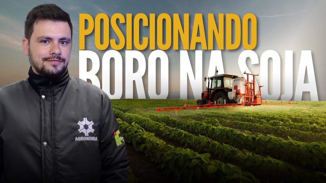 Posicionamento de Boro na cultura da Soja