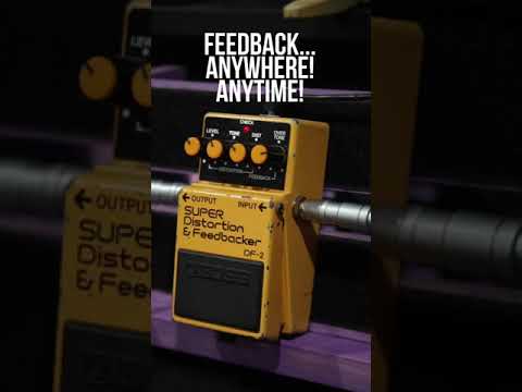 BOSS DF-2 Feedback #shorts #guitar #distortion  #analog