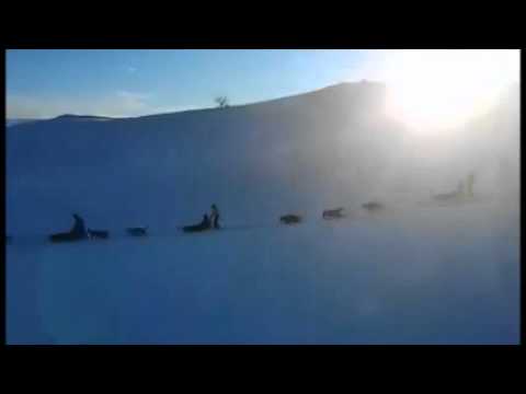 Hundekjøring Sagavoll Folkehøgskole