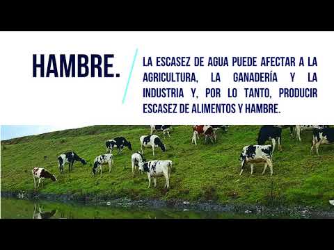 Escases y cuidados del agua.