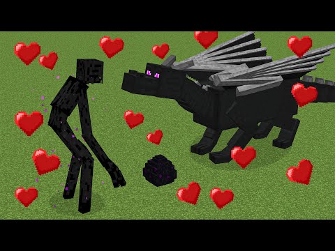 mutant enderman ❤️ ender dragon