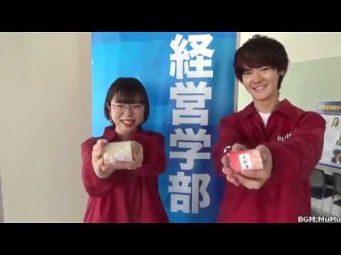 経営学部 ３つの学び｜明星大学