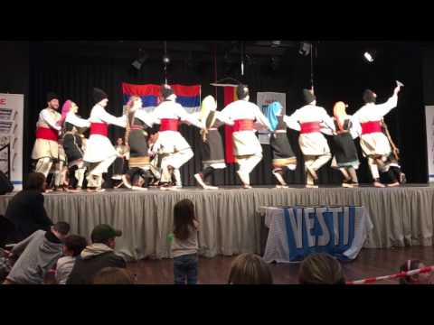 KUD Borac Solingen - ''Dilmano Dilbero'' - Dimitrovgrad - Severna Smotra 17 - 04.03.2017 - Hochheim